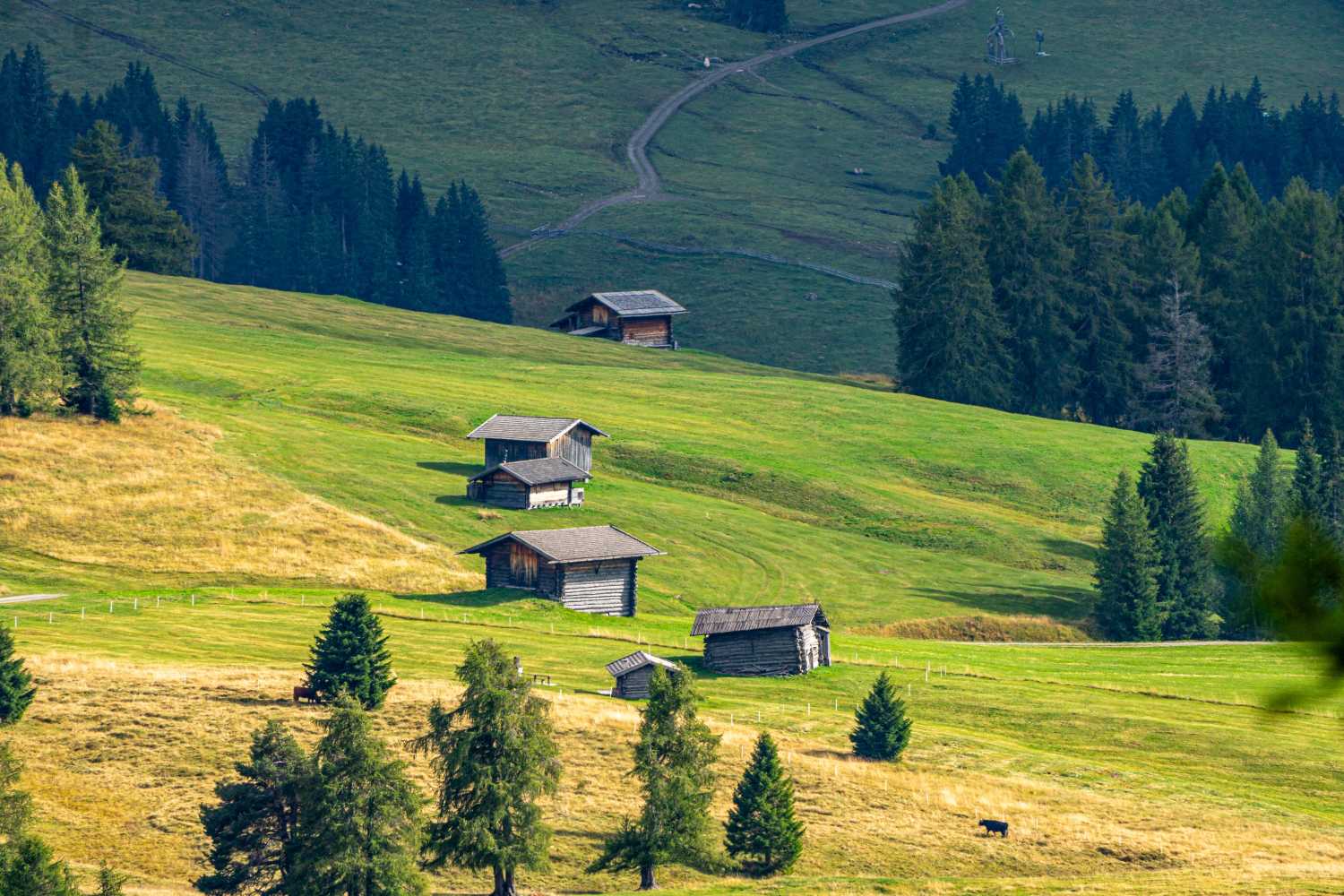 能源管理系统,城市绿色发展,节能减排 能源管理系统,城市绿色发展,节能减排