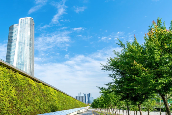 要正确认识和把握碳达峰、碳中和带来的机遇和挑战！